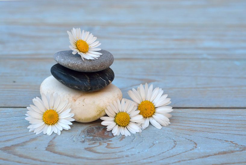 des pierres zen avec des fleurs par Trinet Uzun