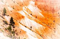 Rotsnaalden in het grote erosielandschap Bryce Canyon National Park in Utah USA van Dieter Walther thumbnail