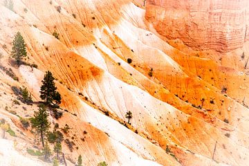 Rotsnaalden in het grote erosielandschap Bryce Canyon National Park in Utah USA van Dieter Walther