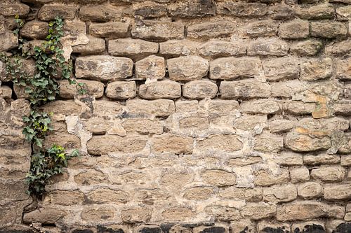 De oude stenen muur en de groene klimop. van Robby's fotografie