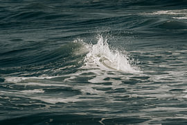 Une forme éphémère sur ReBlick
