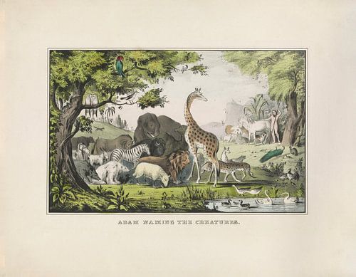 Adams Benennung der Kreaturen