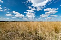 Hoge Veluwe