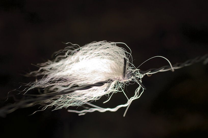 pluis von Eric de Haan