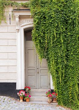 Rideau de feuilles devant une porte I Stockholm, Suède sur Floris Trapman