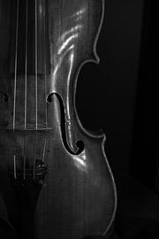 Violin by Lieke Roodbol