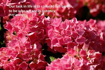 Onze taak in het leven is om tot volle bloei..... van Cora Unk