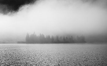 Mémoires monochromes