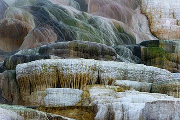 Mammoth Hot Spring-Palette Spring van Dick Hoogenboom