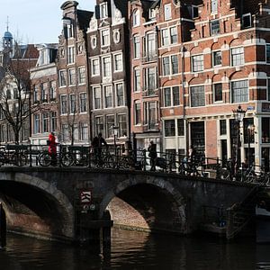 Lady in red sur HANS VAN DAM