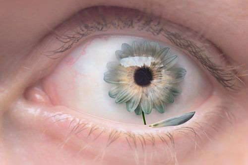 Reflectie op Bloemen: Het Tragische Lot van Verwelking door Menselijke Handen