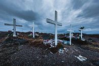 Croix blanches et fleurs dans un cimetière au Groenland par Martijn Smeets Aperçu