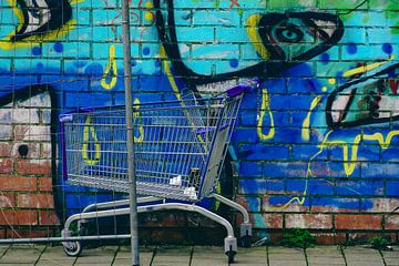 Shopping trolley in Troutstraat, Ghent by Jan Van Bizar