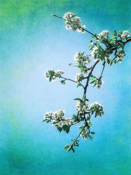 SPRING by INA FineArt