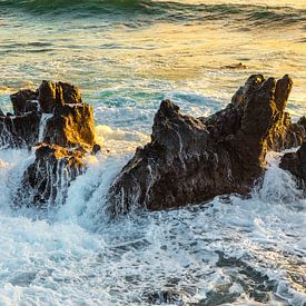 After the Wave by Martijn Schruijer