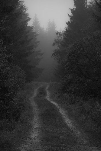 Stille