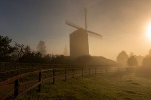 Mistige herfst zonsopkomst Zeddam