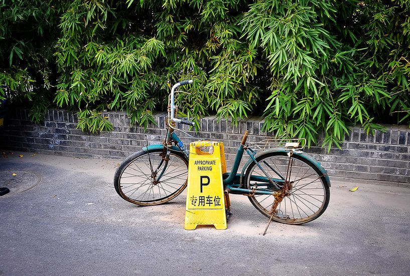 Inapropiate Parking by Dennis Timmer