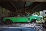 Verlaten Ford Mustang. van Roman Robroek thumbnail