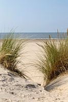 A beautiful day at the beach ..