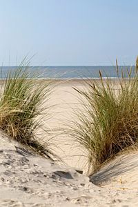 Een mooie dag op het strand.. van Miranda van Hulst