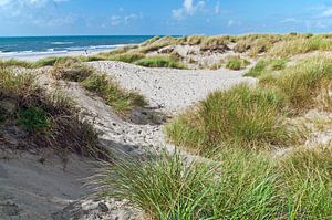 Un paradis estival de dunes au bord de la mer du Nord, au Danemark