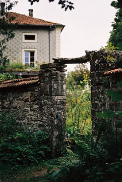 Durch das Tor (35 mm Film) von Tim van Deursen