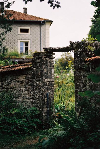 Through the gate (35 mm film) by Tim van Deursen