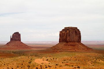 Zicht op Monument Valley van Sander Meijering