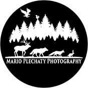 Mario Plechaty Photography photo de profil