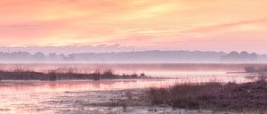 Colors above misty swamp