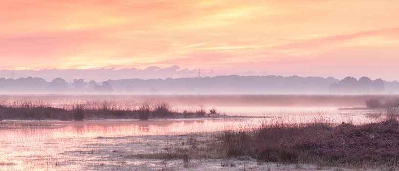 Couleurs sur un marais brumeux par Karla Leeftink