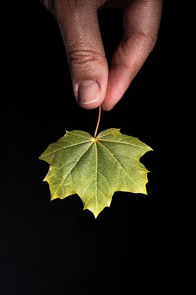 Halten des Herbstes von Daisy Renders