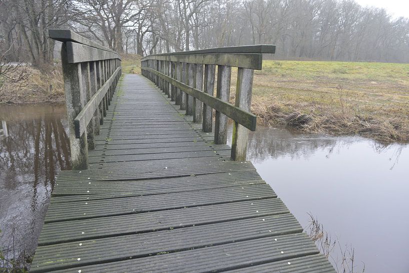 Brug van John Van der Kaap