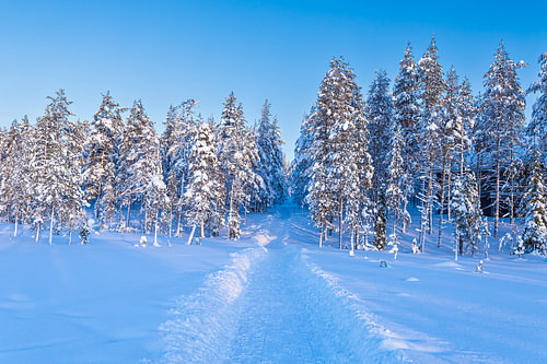 Winter landscape with a forest and a path in Äkäslompolo, Finland