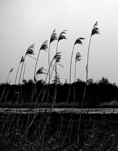  "So Close No Matter How Far 1. "