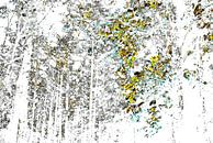 Disturbed Landscape #002 by Peter Baak thumbnail