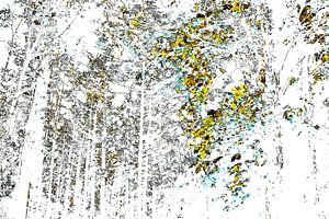Gestörte Landschaft #002