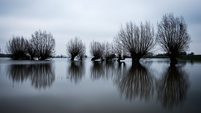 Flooding of the Rhine floodplains by Eddy Westdijk