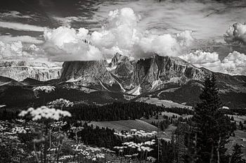 Alpage de Siusi noir et blanc