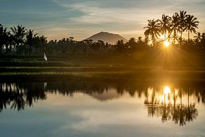 Reflection of a sunrise in a rice field in Bali by Ellis Peeters