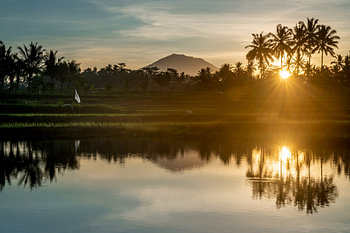 Reflectie van een zonsopkomst in een rijstveld van Bali