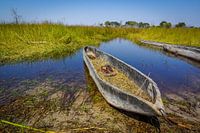 Ein Mokoro in Botswana