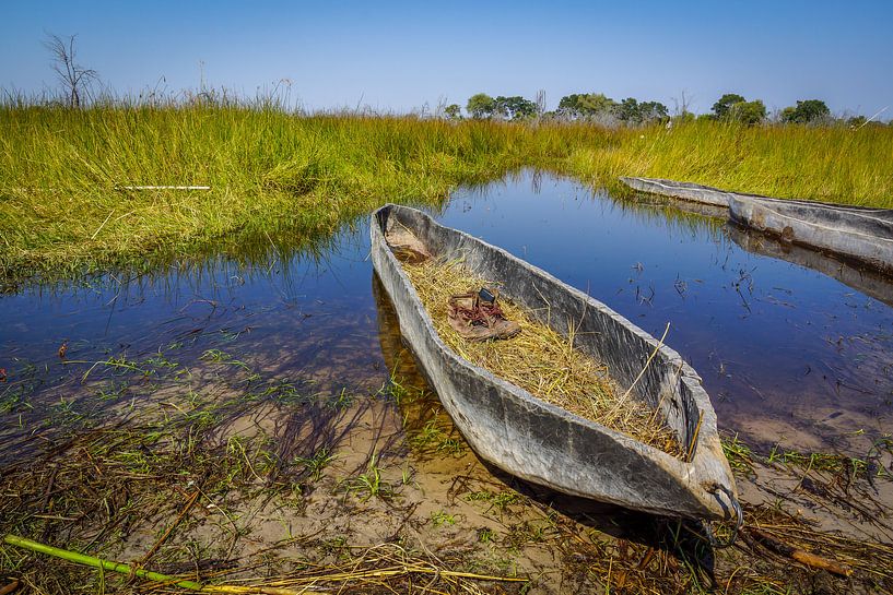 Ein Mokoro in Botswana von Nico  Calandra