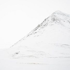 White Mountains on Iceland by Andreas Hackl