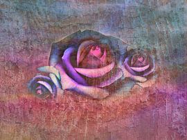 drie rozen van Claudia Gründler