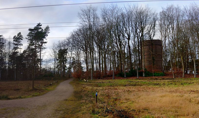 Natuurlijke panorama met een watertoren van Harderwijk van Gerard de Zwaan