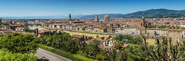FLORENCE View from Piazzale Michelangelo | Panoramic van Melanie Viola