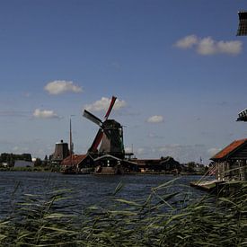 Molens in Nederland van Fred van den Brink