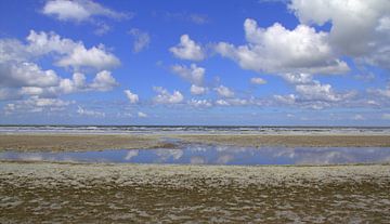 Strand van Zandvoort